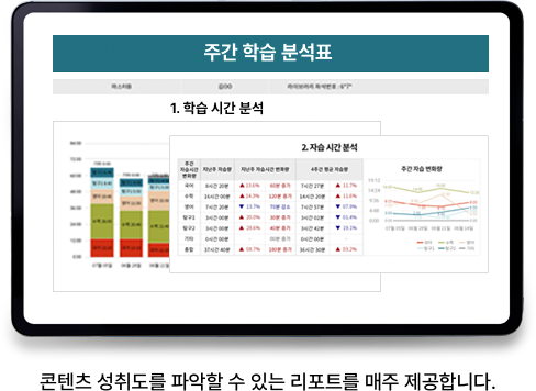 분석 리포트 제공