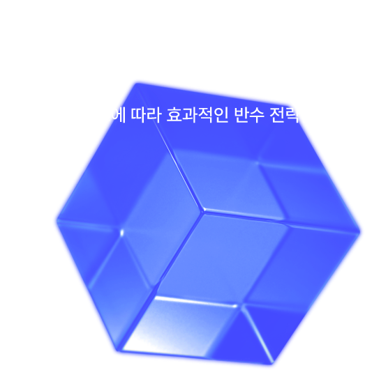 효율적인 반수 학습을 위한 개인별 맞춤 시스템