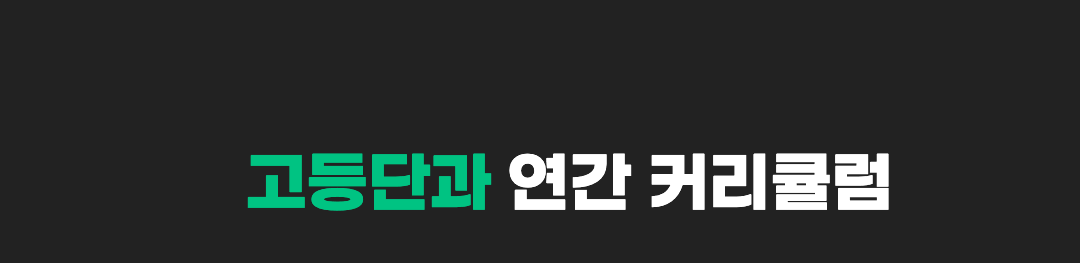 고등단과 연간 커리큘럼