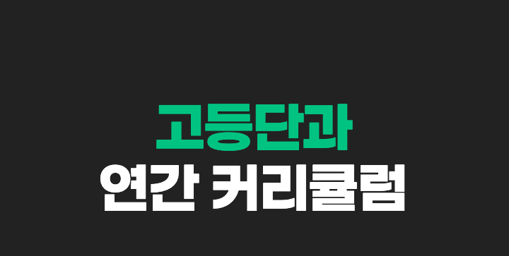 고등단과 연간 커리큘럼