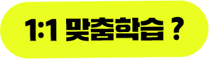 1:1 맞춤학습?