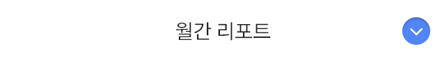 월간 리포트