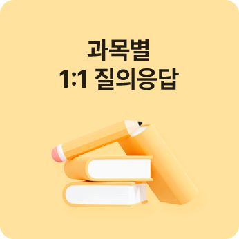 1:1 맞춤 리포트