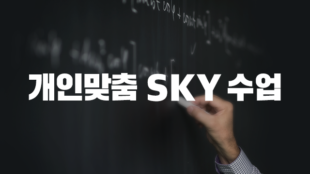개인맞춤 SKY 수업
