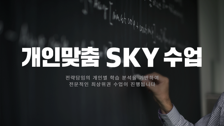 개인맞춤 SKY 수업