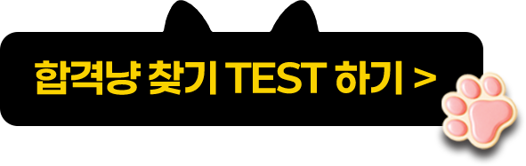 합격냥 찾기 TEST 하기